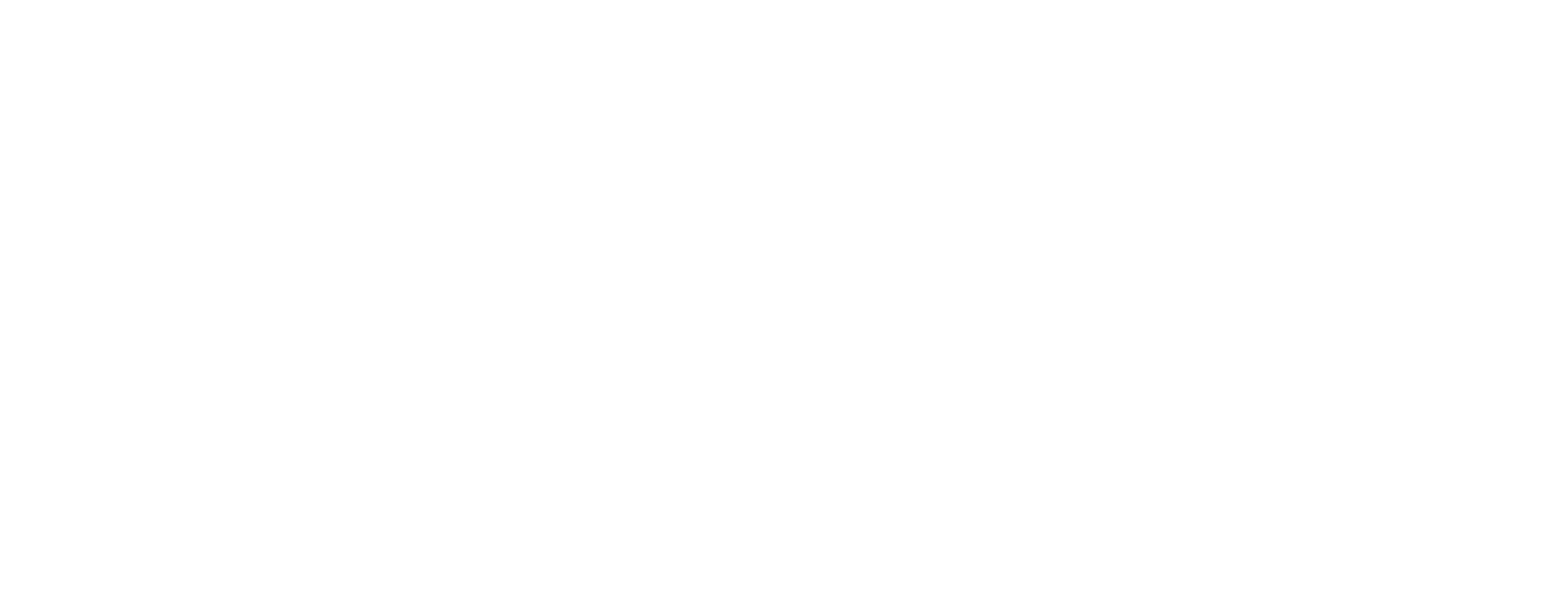 VPS Logo 2026 white